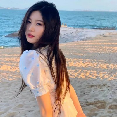 第19分部